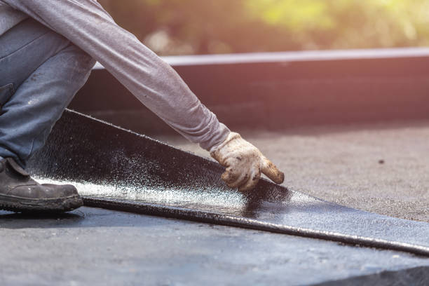Professional Interior Drainage System technician working in Reese, MI